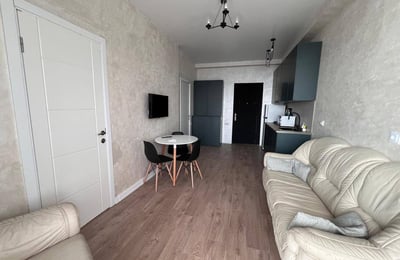 Comfortable furnished apartment 45 m² for rent in Batumi, Georgia