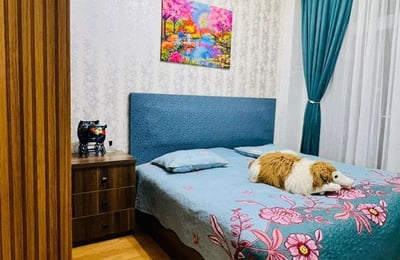 Location appartement moderne, confortable, avec balcon, 45 м², Batumi, Géorgie