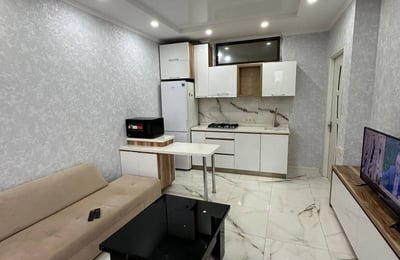 Аренда просторной, комфортабельной квартиры, 65 м², Батуми, Грузия