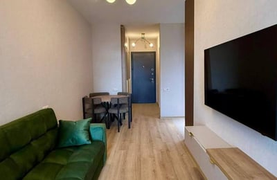 Modern Apartment 45m² for Rent, Batumi, Georgia