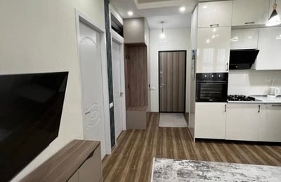 Bright Apartment with Sea and Mountain Views for Rent, Batumi, Georgia
