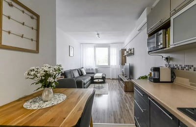 Long-term rental of an apartment, 40 m², in Terasa, Košice, Slovakia