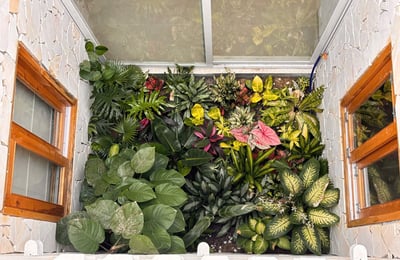 Аренда современного и стильного дома с садом, Сон Тра, Дананг, Вьетнам