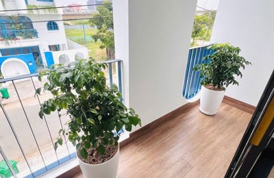 Bright and furnished apartment for rent, Da Nang, Vietnam