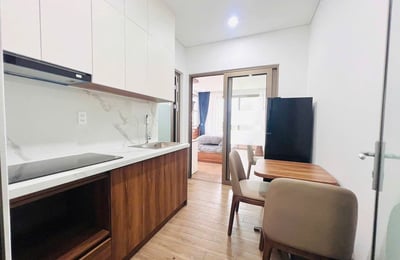 Bright and furnished apartment for rent, Da Nang, Vietnam