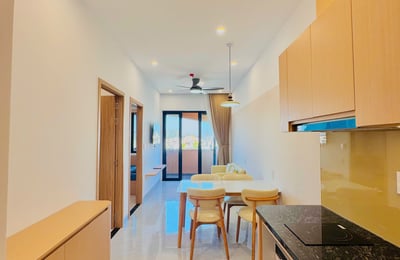 Appartement moderne et spacieux à louer, Da Nang