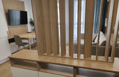 Rent of a comfortable, stylish studio, 27 m², Krowodrza district, Krakow, Poland