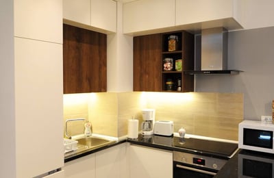Alquiler de apartamento moderno, 48 m², Wellport, Nuevo Belgrado, Serbia