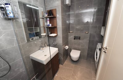 Alquiler de apartamento moderno, 48 m², Wellport, Nuevo Belgrado, Serbia