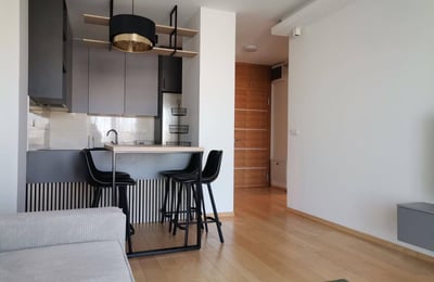 Rent of a bright, furnished apartment, 56 m², Central Garden residential complex, Belgrade, Serbia