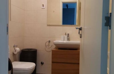 Rent of a bright, furnished apartment, 56 m², Central Garden residential complex, Belgrade, Serbia