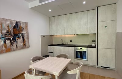 Аренда премиум, светлой квартиры, 54 м², Нови Дорчол, Белград, Сербия