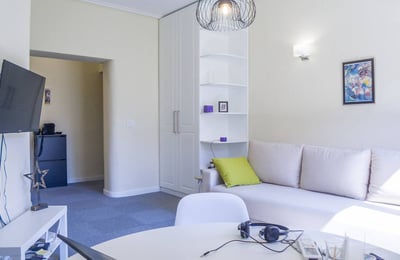 Rent of a bright, cozy apartment, 47 m², Belgrade, Serbia