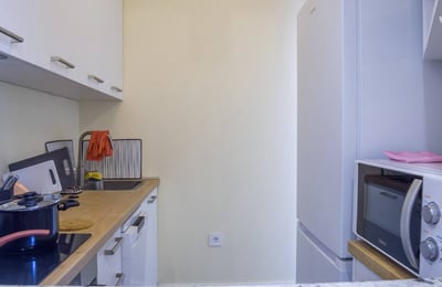 Rent of a bright, cozy apartment, 47 m², Belgrade, Serbia