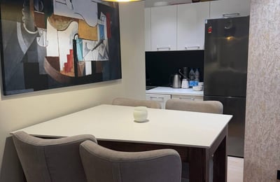 Modern, Cozy Apartment 46m² for Rent, Vračar, Belgrade, Serbia