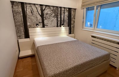 Bright Apartment 47m² for Rent in City Center, Belgrade, Serbia