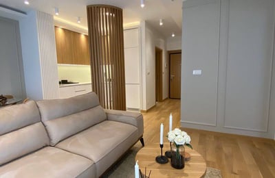 Аренда уютной квартиры 45м² с террасой, Врачар, Белград, Сербия