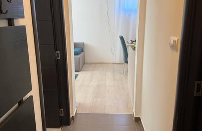Appartement 40m² à louer dans immeuble neuf, Zemun, Belgrade, Serbie
