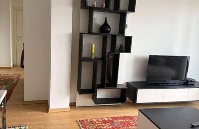 Comfortable Apartment 70m² for Rent, Vračar, Belgrade, Serbia