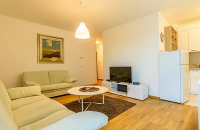 Bright Apartment 55m² for Rent, Vračar, Belgrade, Serbia