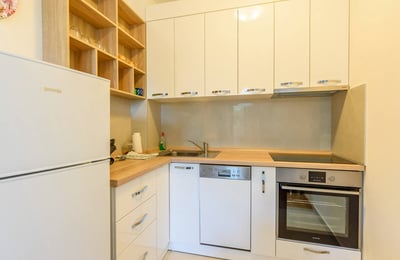 Bright Apartment 55m² for Rent, Vračar, Belgrade, Serbia