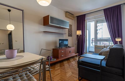 Furnished Apartment 41m² for Rent, Belgrade, Serbia