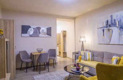 Bright Apartment 43m² for Rent in City Center, Belgrade, Serbia
