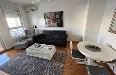 Helle Wohnung 41m² zur Miete im Wohnkomplex Belville, Neu-Belgrad, Serbien