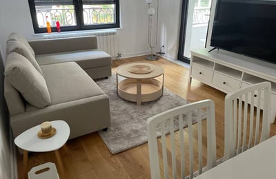 Comfortable Apartment 40m² for Rent in City Center, Belgrade, Serbia