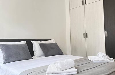 Se alquila apartamento cómodo y amueblado, Vračar, Belgrado, Serbia