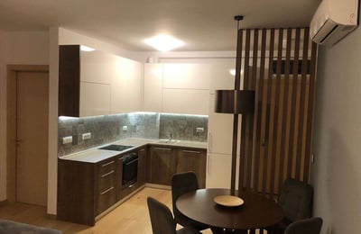 Cozy Furnished Apartment 68m² for Rent, Vračar, Belgrade, Serbia
