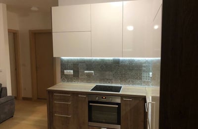 Cozy Furnished Apartment 68m² for Rent, Vračar, Belgrade, Serbia