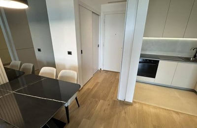 Bright Apartment 56m² for Rent in Novi Dorčol Residential Complex, Belgrade, Serbia