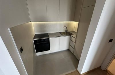 Bright Apartment 56m² for Rent in Novi Dorčol Residential Complex, Belgrade, Serbia