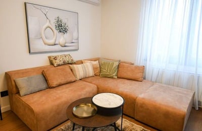 Cozy Apartment 45m² for Rent, Vračar, Belgrade, Serbia