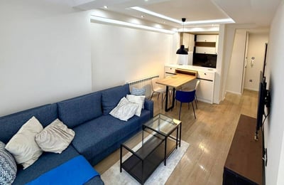 Bright Apartment 45m² for Rent in City Center, Belgrade, Serbia