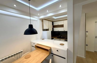 Bright Apartment 45m² for Rent in City Center, Belgrade, Serbia