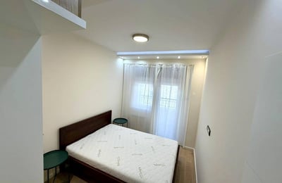 Bright Apartment 45m² for Rent in City Center, Belgrade, Serbia