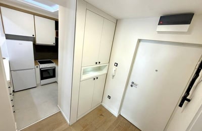 Bright Apartment 45m² for Rent in City Center, Belgrade, Serbia