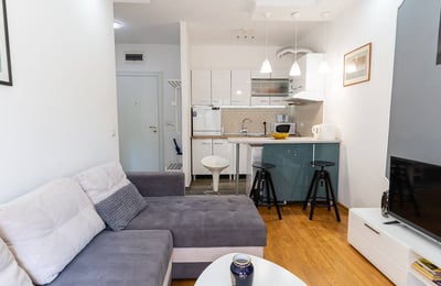 Appartement cosy 45m² à louer au centre-ville, Belgrade, Serbie