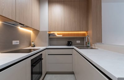Bright Apartment 50m² for Rent, New Belgrade, Serbia