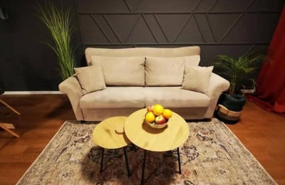 Furnished Apartment 46m² for Rent in Sunnyville Residential Complex, Belgrade, Serbia