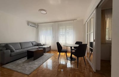 Bright Apartment 46m² for Rent, Vračar, Belgrade, Serbia