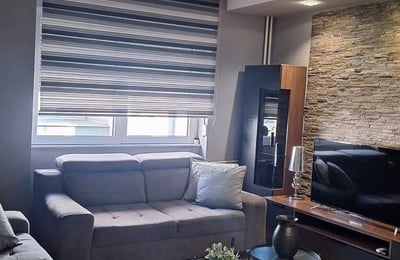 Comfortable Apartment 48m² for Rent in City Center, Belgrade, Serbia