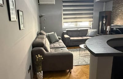 Comfortable Apartment 48m² for Rent in City Center, Belgrade, Serbia