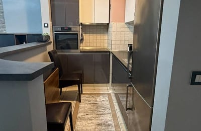 Comfortable Apartment 48m² for Rent in City Center, Belgrade, Serbia