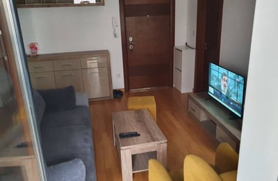 Cómodo apartamento de 46 m² en alquiler en el distrito de Voždovac, Belgrado