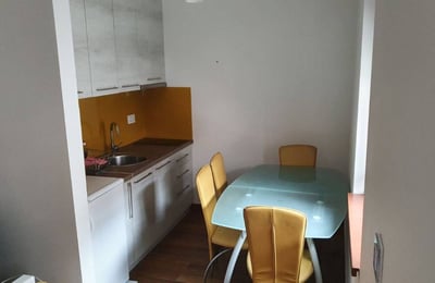 Cómodo apartamento de 46 m² en alquiler en el distrito de Voždovac, Belgrado