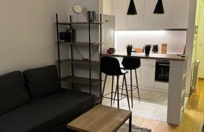 Komfortable 35 m² Wohnung zur Miete im Neubau, Vracar, Belgrad