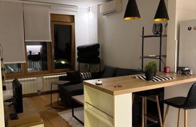 Komfortable 35 m² Wohnung zur Miete im Neubau, Vracar, Belgrad